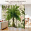 Cloison pliante 4 panneaux Royal Tropical Vintage-253139906-253139907