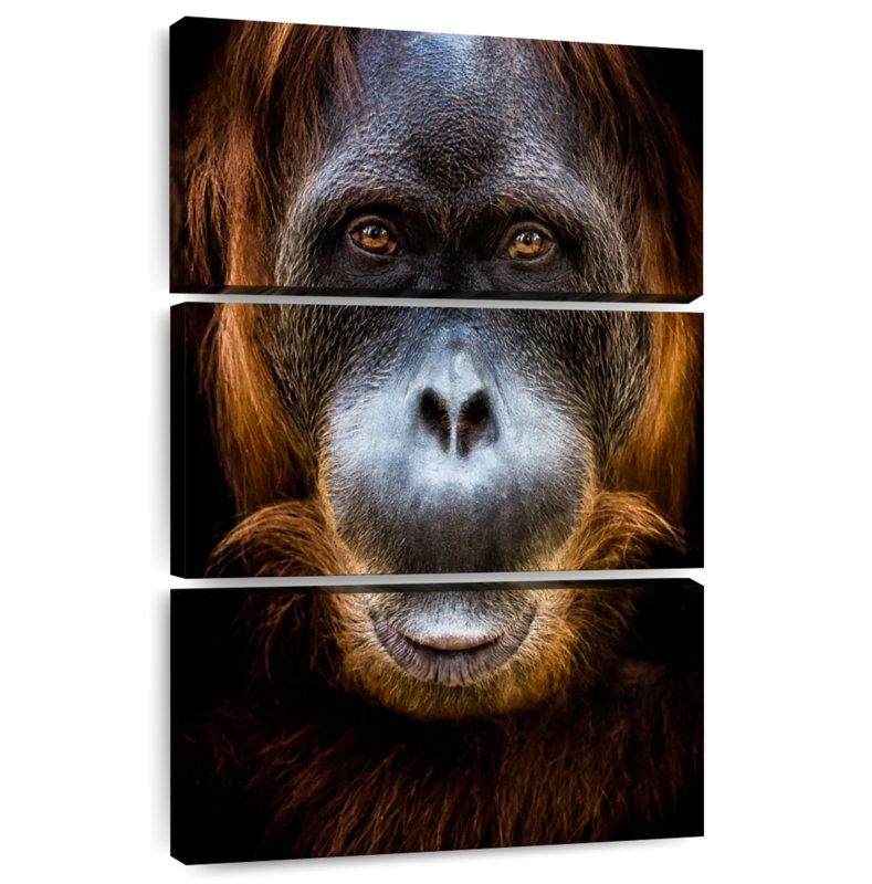 Brampt Orangutan Face, 65" H x 42" W