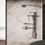 Statement Single-Function Iconic Handshower-585579135