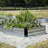 Metal Raised Garden Bed