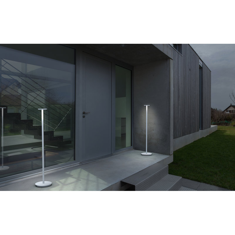 Luci 41" Novelty Floor Lamp, Satin Aluminum