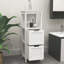 Armoire de salle de bain avec 2 tiroirs et 1 tablette de rangement
