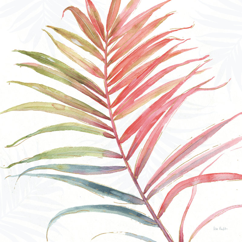 " Tropical Blush VI " by Lisa Audit, 36" H x 36" W x 1.25" D