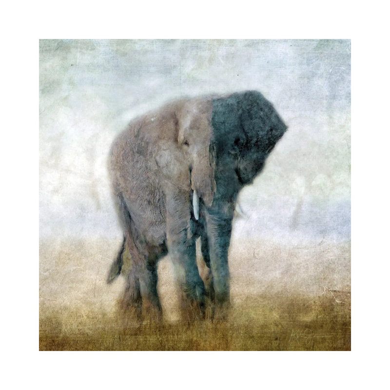 Serengeti Series Elephant by Katrina Jones - Wrapped Canvas Painting, 30.48 cm H x 30.48 cm W