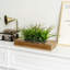 Faux plantes artificielles en bois d'acacia