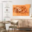 Harnek fleurs de printemps pastel orange
