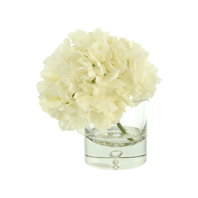 Hydrangea in Vase