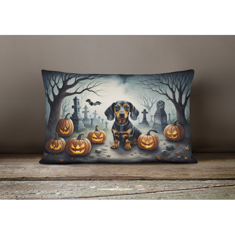 Other/No Pattern Outdoor Throw Pillow