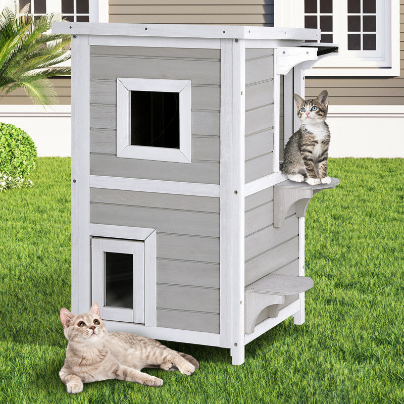 Hackett Cat Cat Tree Or Condo