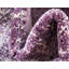 Tapis mauve Elsmere-336586275