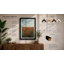 Poppies Behind Glass Modern - Print-261876032-261876033