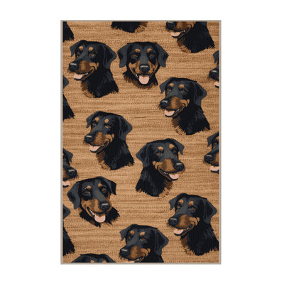  Tapis lavable pour chiens Hovawart