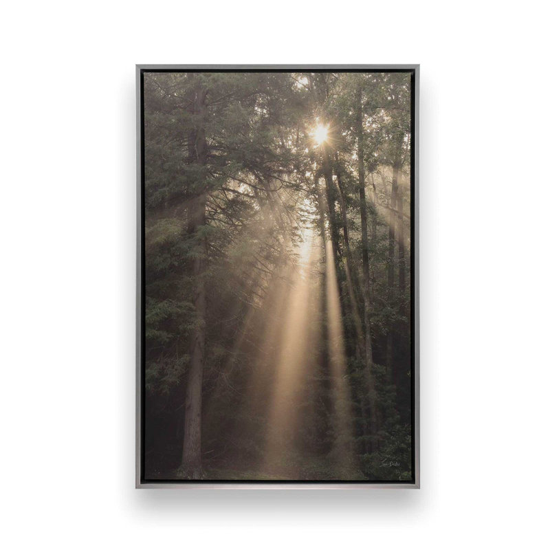 «Enlighten Your Soul» par Lori Deiter, reproduction d'art, 8 W x 12 H, Silver, Framed Canvas