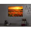 Poppy Flower Field At A Dreamlike Sunset by No - Wrapped Canvas Print-49671793-49671790