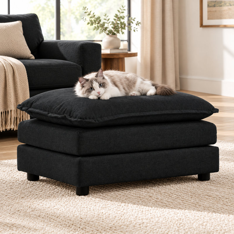 Canapé-lit en chenille pour chien, 1 pièce, canapé pour animaux surélevé, noir, housse lavable amovible et structure robuste