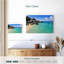 Plage Gillard Spring Bay-111824351