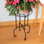 Support pour plante Catalina