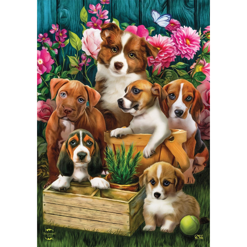 Drapeau «In The Garden Dogs Spring House»