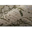 Rhun moderne abstrait, taupe / vert / brun clair-295269942