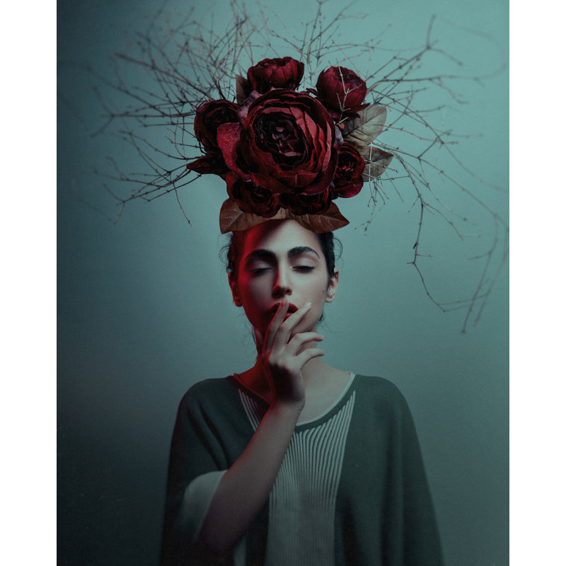 Wrapped Canvas Print, 76.2 cm H x 50.8 cm W