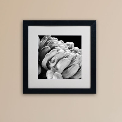 Michael Harrison - Single Picture Frame Photograph on Canvas