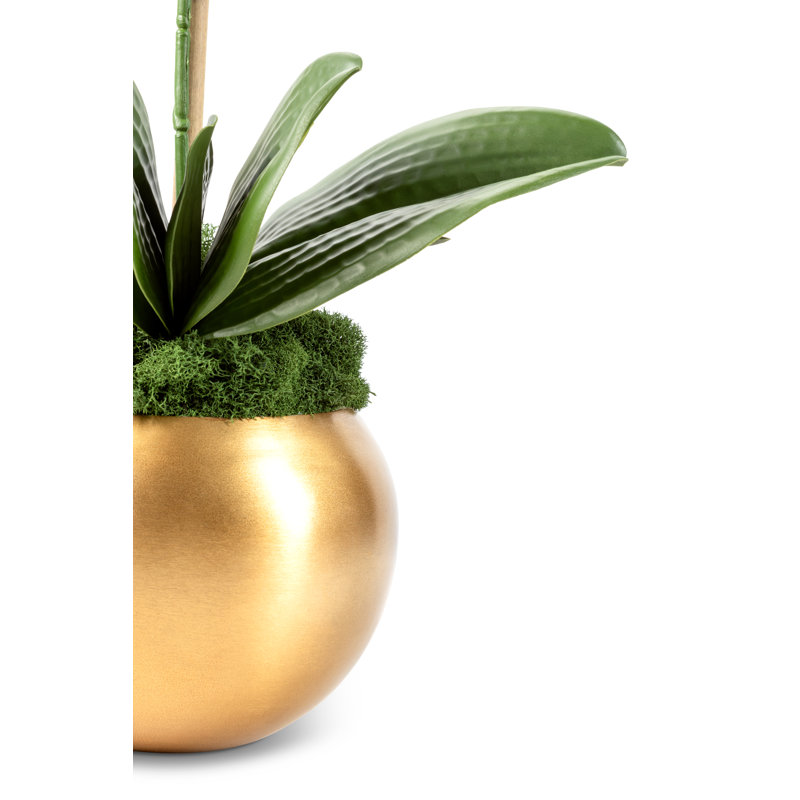 Adeline Gold Realtouch Orchid, Double Orchid