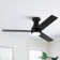 Vaczon 48" 3 - Blade Modern Black Flush Mount Ceiling Fan with LED Lights and Remote Control