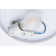 Flush Ceiling Light