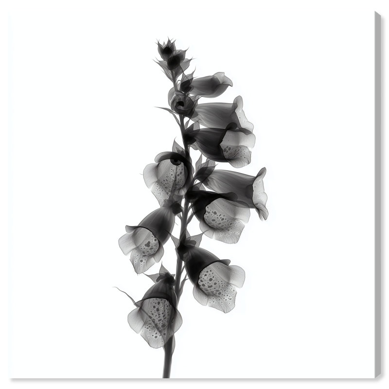 Ossified Petals II Print by Oliver Gal, 12"H x 12"W, Gallery Wrapped