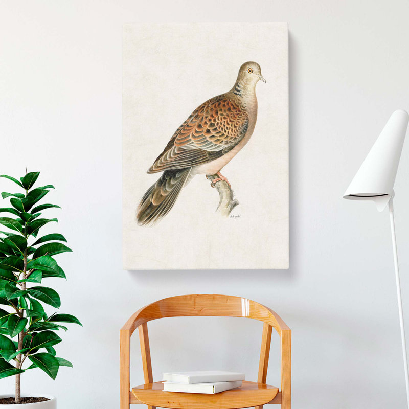 Oriental Turtle Dove by Von Wright - Wrapped Canvas, 50cm H x 35cm W x 3cm D