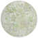 Machine Washable Indoor/Outdoor Claudian ACN1506 Aloe Rug