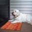 Tapis d'intérieur / extérieur antidérapant Gaythorne 29,5 "x 17,7"