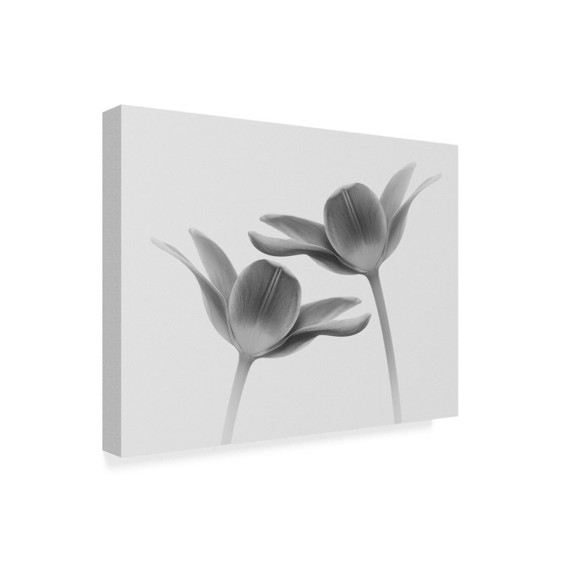 « double the same », reproduction de photo sur toile tendue, H 14 po x l 19 po x P 2 po