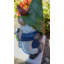 Gnome d'Endrit