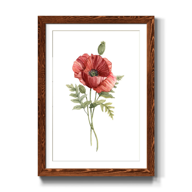 Scarlet Poppy - Reproduction d'art sur papier encadrée, H 44 po x l 31 po x P 1 po, Érable