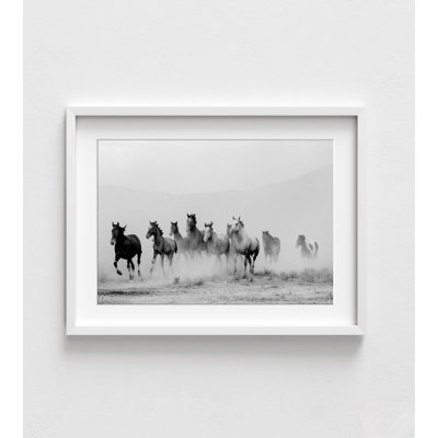 Wild Running Horses, Black & White