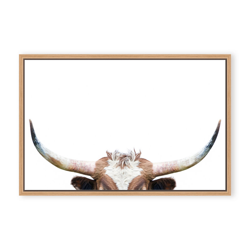 Nature Inspired Peeking Longhorn Cow by  - Picture Frame Photograph on Paper, 16" H x 24" W x 1.125" D, Black