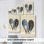 Coquilles bivalves I - Cavas enveloppés de galerie-364279834