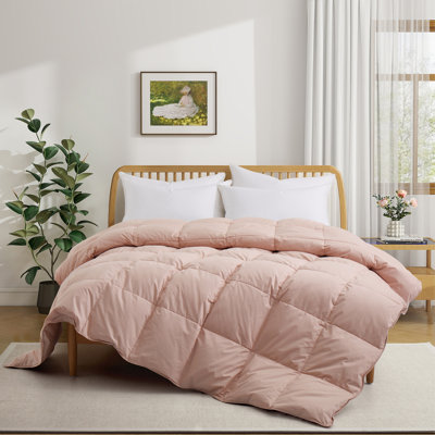 All Season Cotton Down Comforter/Duvet Insert