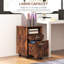 Olortegui 2 Drawer Filing Cabinet-1165396699