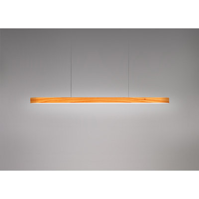 1 - Light LED Pendant