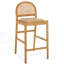 Laylie Rattan And Leather Counter Stool-1908221491