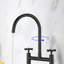 Robinet de cuisine 2 trous Bridge-75105605