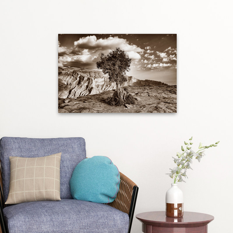 Simple Solitude Contemporary Landscape Cloud Desert, 24" H x 16" W