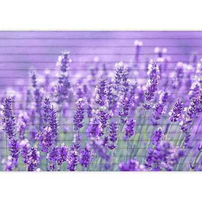 Floral Peel & Stick Floral Border