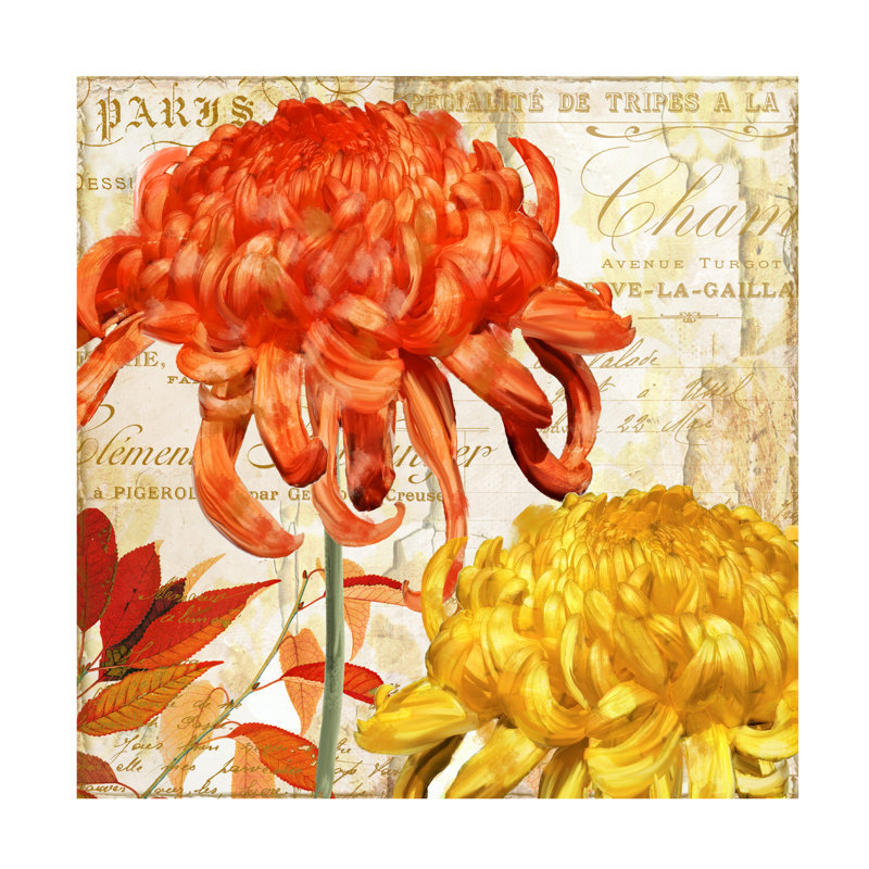 Sasha Chrysanthemes I Canvas Art_ALI73152, 14" H x 14" W