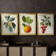 Antique Foliage & Fruit VI - Toile tendue avec châssis sur mesure - 3 pièces-1299706716-1299706717