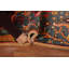 Animals Design Wool Ziegler Indian Accent Rug 3x5