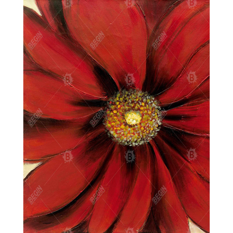 Red Daisy Print On Canvas