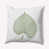 Scallion